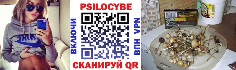 где купить   Луга  Псилоцибиновые грибы Psilocybine cubensis 