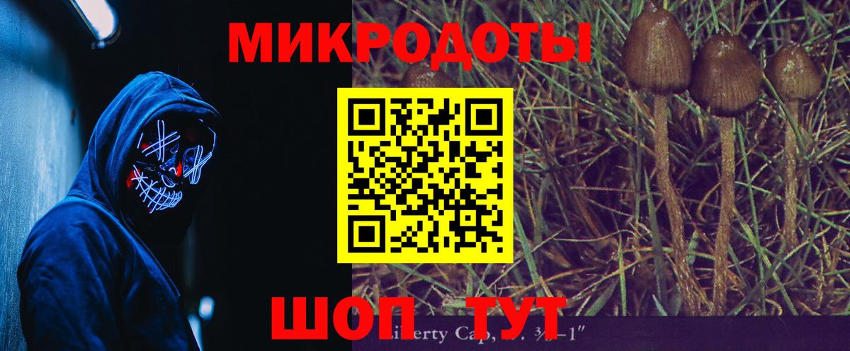 Луга  Псилоцибиновые грибы Magic Shrooms  Вход с VPN 