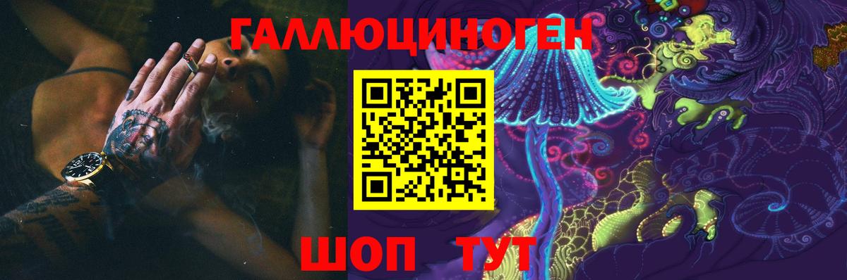 Псилоцибиновые грибы GOLDEN TEACHER Луга